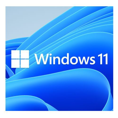 Picture of Microsoft Windows 11 Professional 64-bit, OEM DVD, Single Copy