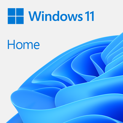 Picture of Microsoft Windows 11 Home 64-bit, OEM DVD, Single Copy